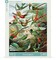 New York Puzzle Company Hummingbirds 1000 Piece Piece Jigsaw Puzzle